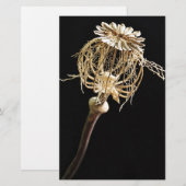 Poppie Briefpapier (Voorkant / Achterkant)