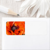 Poppie Etiket (Insitu)