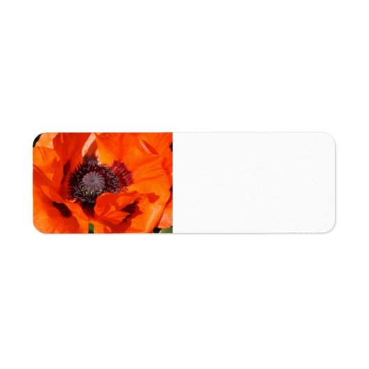 Poppie Etiket (Voorkant)