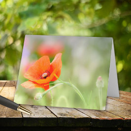 Poppie Notitiekaartje