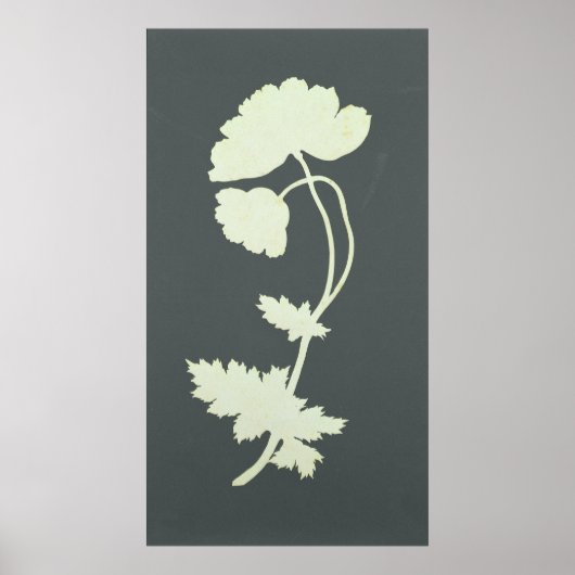 Poppie Poster (Voorkant)