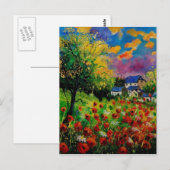 poppies daisies 560110 briefkaart (Voorkant / Achterkant)
