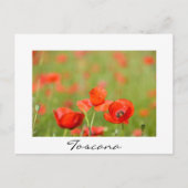 Poppies dans un champ de pavot blanc texte carte p (Devant)