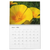 Poppies FLEURS MEADOWS Calendrier Cadeaux Vacances (Mar 2026)