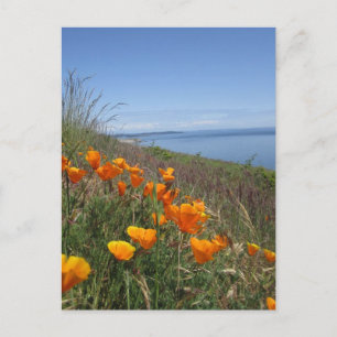 Poppies-gebied Briefkaart