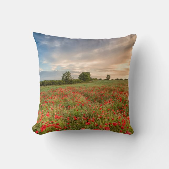 Poppies-gebied Kussen (Voorkant)