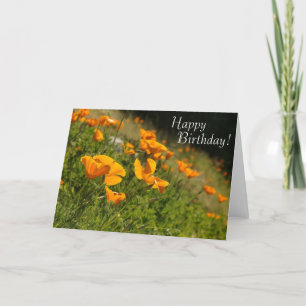 Poppies Happy Birthday Kaart
