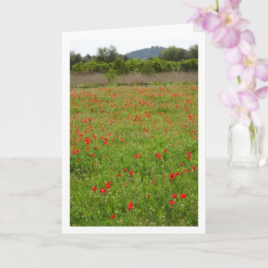 Poppies in Veldportret Kaart (Orchidee)