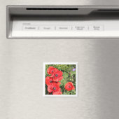 Poppies magneet (Insitu (Vaatwasser))