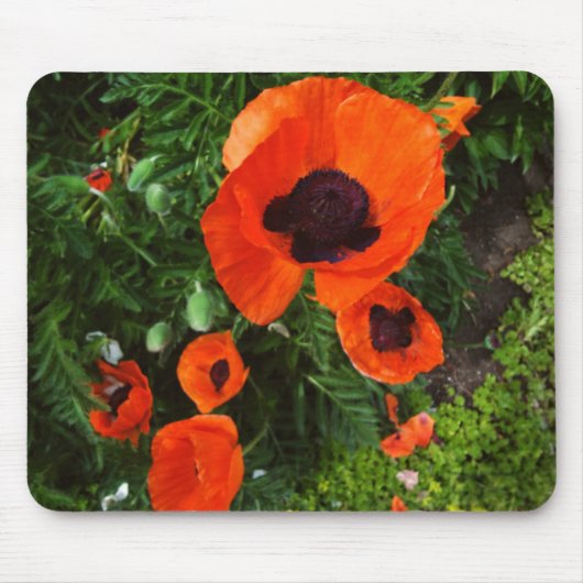 Poppies Mousepad Muismat (Voorkant)