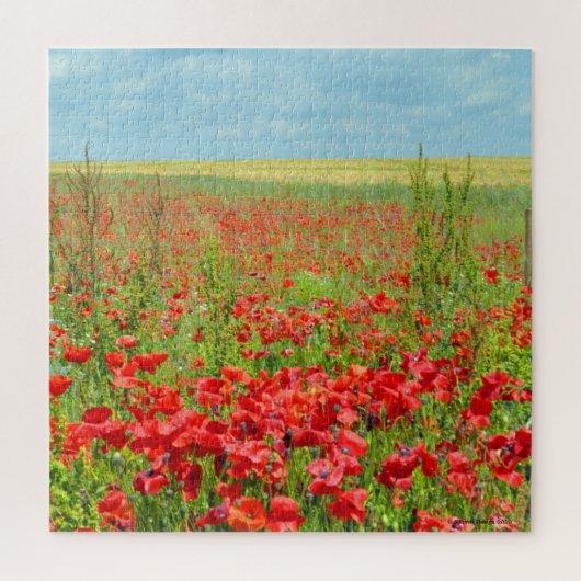 Poppies Puzzle-gebied Legpuzzel (Verticaal)
