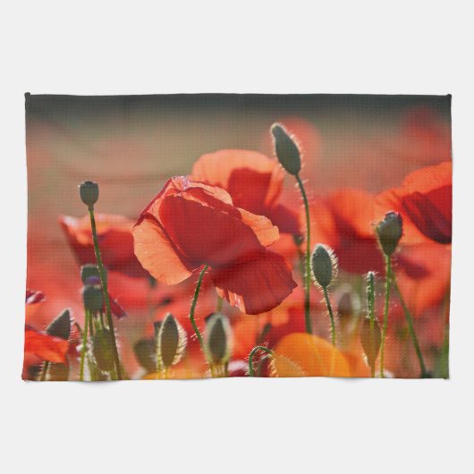 Poppies-veld. Theedoek (Horizontaal)