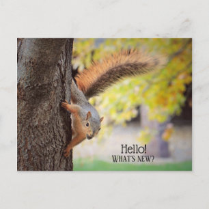 Popping in om Hallo Briefkaart te zeggen