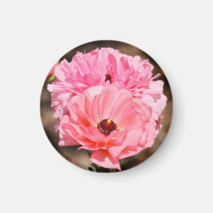 Popping in roze magneet