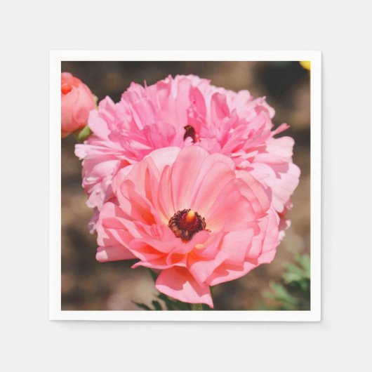 Popping in roze servet (Voorkant)