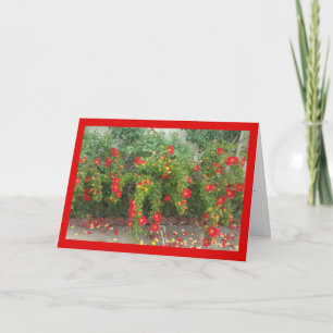 Popping Red Blooms: het lied van de zon. 4:1-Wensk Kaart