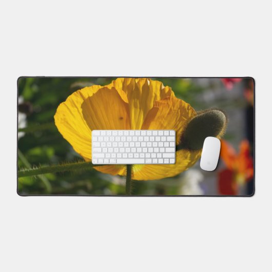 Poppy (Clavier et souris)