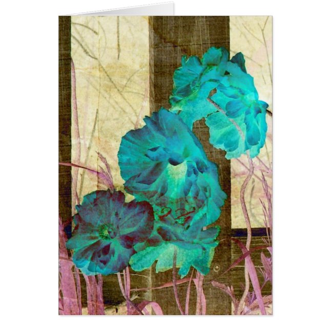 Poppy Beautiful (Devant)