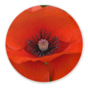Poppy Ceramic Knob. Keramische Knop