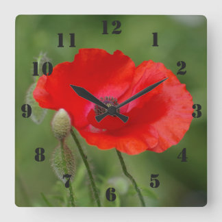 Poppy Clock Vierkante Klok