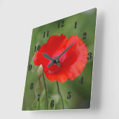 Poppy Clock Vierkante Klok (Hoek)