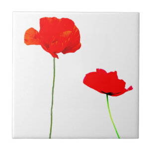 POPPY Collection 03 Carreau