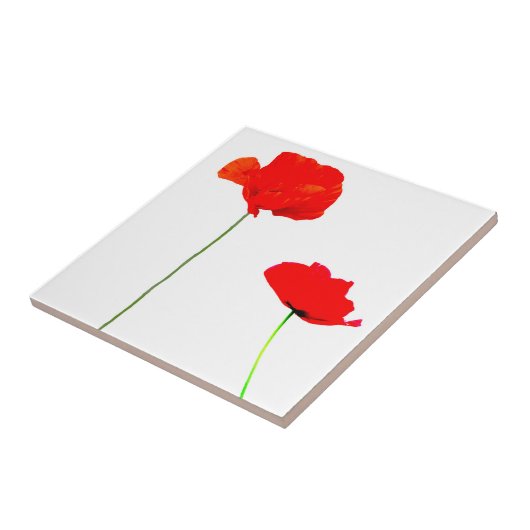 POPPY Collection 03 Carreau (Côté)