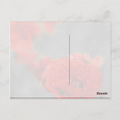 Poppy Comet Briefkaart (Achterkant)