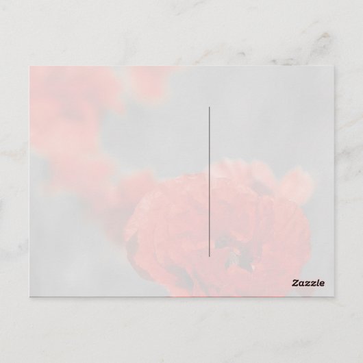 Poppy Comet Briefkaart (Achterkant)