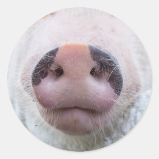 Poppy en Podrick Sticker