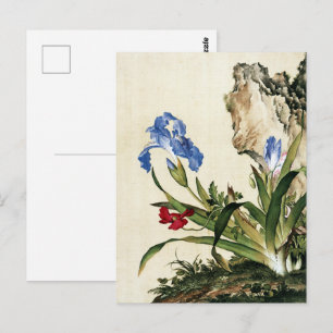 Poppy en vlinderbloem Fine Art Briefkaart