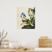 Poppy en vlinderbloem Fine Art Poster (Keuken)