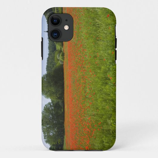 Poppy field, Chiusi, Italië Case-Mate iPhone Case (Achterkant)
