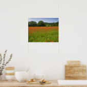 Poppy field, Chiusi, Italië Poster (Keuken)