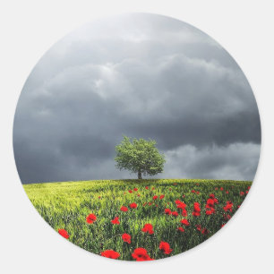 Poppy Field en Cloudy Sky Ronde Sticker