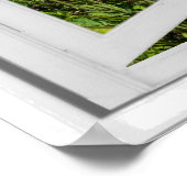 Poppy Field Faux Uitzicht Poster (Hoek)