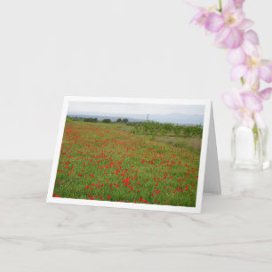 Poppy Field Landscape Kaart