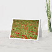 Poppy Field Landscape Kaart (Voorkant)