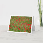 Poppy Field Landscape Kaart (Voorkant)