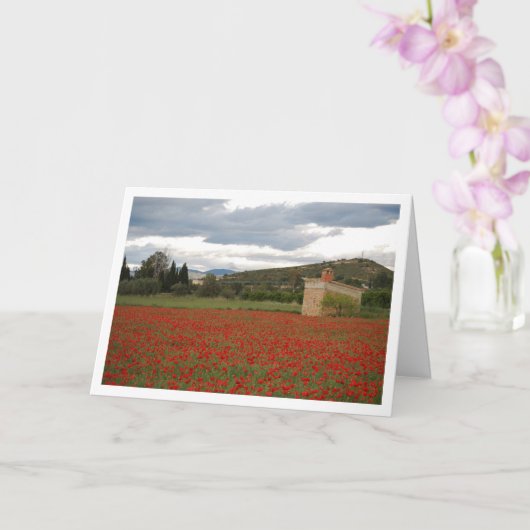Poppy Field Landscape Kaart (Orchidee)