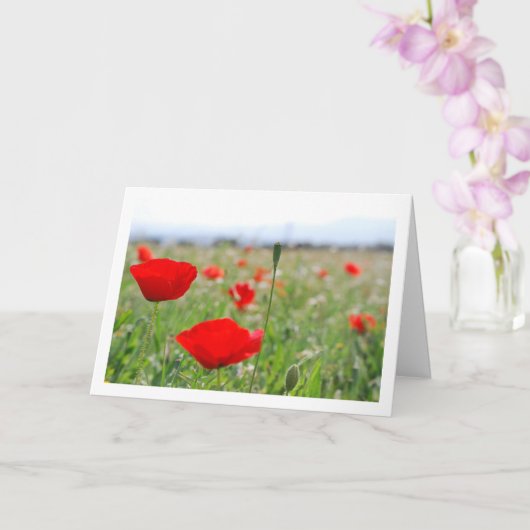 Poppy Field Landscape Kaart (Orchidee)