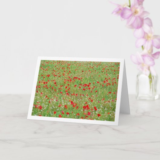 Poppy Field Landscape Kaart (Orchidee)