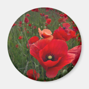 Poppy Field Magnet Magneet