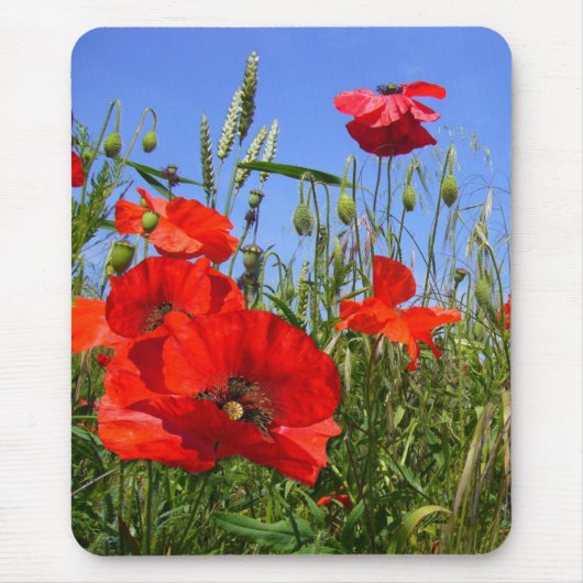 POPPY FIELD ~ Mousepad # 6 Muismat (Voorkant)
