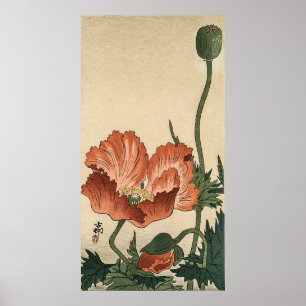  Poppy Flower beroemd gemaakt door Ohara Koson Poster