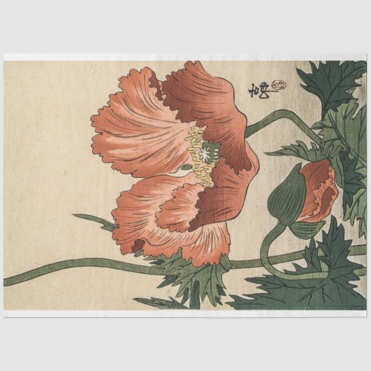  Poppy Flower beroemd gemaakt door Ohara Koson Tissuepapier (Voorkant)