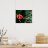 Poppy flower poster (Cuisine)