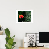 Poppy flower poster (Bureau à domicile)