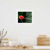 Poppy flower poster (Cuisine)