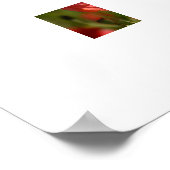 Poppy flower poster (Coin)